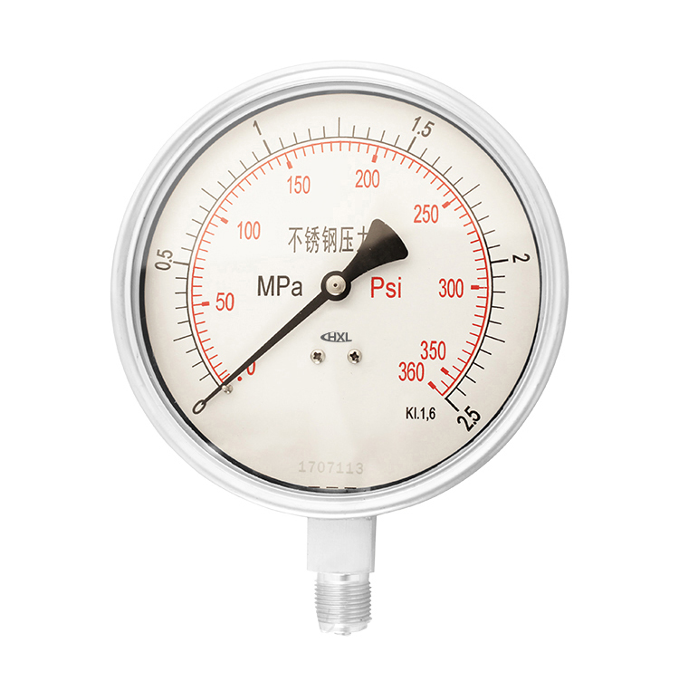 不鏽鋼(gang)壓力表(biao)