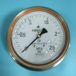 Y-153B-FZ不(bú)鏽鋼耐(nài)震壓力(li)表