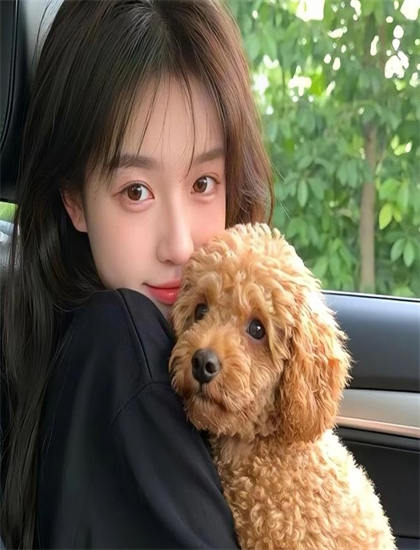 封总夫人带娃找上门了详细剧情艺术解析：从开场到结局的完整叙事分析，口碑佳作